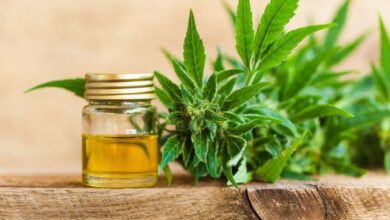 health-benefits-and-risks-of-cbd-what-we-know-today