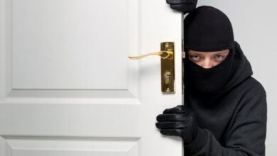 facing-theft-trap-how-to-build-a-strong-defense-and-protect-your-rights