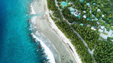 How to obtain a Securities Investment License in the Cayman Islands