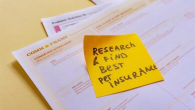 Pet Insurance Cost-Saving Tips for Budget-Conscious Owners