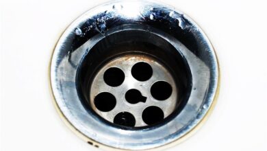 Benefits of Professional Drain Cleaning Services for Dallas Homeowners